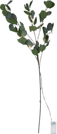 Eucalyptus dekorasjonskvist 30 cm - grønn - Belysning - Dekorasjonsbelysning - Dekorativ innendørsbelysning - Lyslist