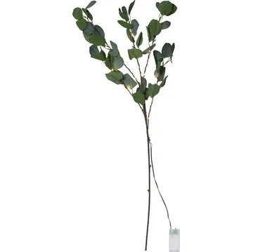 Eucalyptus dekorasjonskvist 30 cm - grønn - Belysning - Dekorasjonsbelysning - Dekorativ innendørsbelysning - Lyslist