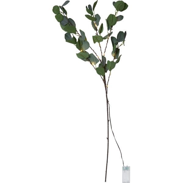Eucalyptus dekorasjonskvist 30 cm - grønn - Belysning - Dekorasjonsbelysning - Dekorativ innendørsbelysning - Lyslist