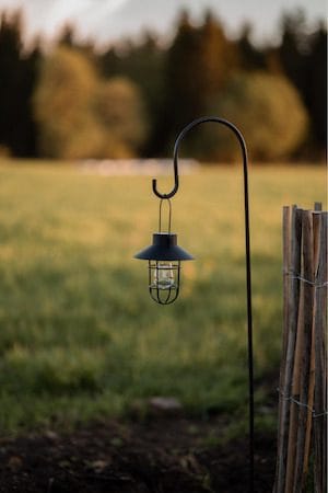 Cage solcelledekorasjon 18 cm - svart - Belysning - Dekorasjonsbelysning - Dekorativ utendørsbelysning - LED-belysning utendørs