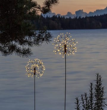 Firework Solar solcelledekorasjon 85 cm - svart - Belysning - Dekorasjonsbelysning - Dekorativ utendørsbelysning - LED-belysning utendørs