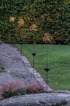 Firework Solar solcelledekorasjon 85 cm - svart - Belysning - Dekorasjonsbelysning - Dekorativ utendørsbelysning - LED-belysning utendørs