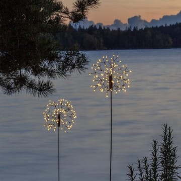Firework Solar solcelledekorasjon 85 cm - svart - Belysning - Dekorasjonsbelysning - Dekorativ utendørsbelysning - LED-belysning utendørs
