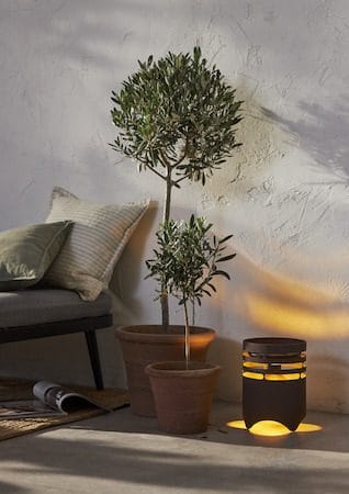Marron Solcellelykt 25 cm - mørkebrun - Belysning - Dekorasjonsbelysning - Dekorativ utendørsbelysning - LED-belysning utendørs