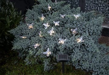 Papillon solcellelysslynge - transparent - Belysning - Dekorasjonsbelysning - Dekorativ utendørsbelysning - Lyslenke utendørs