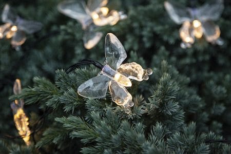 Papillon solcellelysslynge - transparent - Belysning - Dekorasjonsbelysning - Dekorativ utendørsbelysning - Lyslenke utendørs