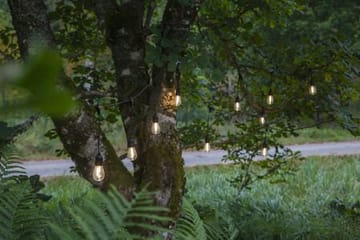 String Light lysslynge - transparent og svart - Belysning - Dekorasjonsbelysning - Dekorativ utendørsbelysning - Lyslenke utendørs