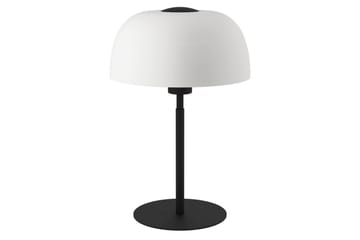 Svart/Hvit