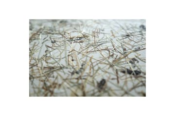 Gulvlampe Eglo Hontongas Brun - Belysning - Innendørsbelysning & Lamper - Gulvlampe