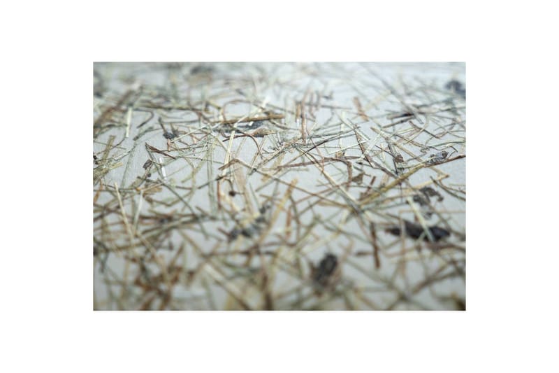 Gulvlampe Eglo Hontongas Brun - Belysning - Innendørsbelysning & Lamper - Gulvlampe