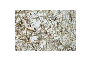 Gulvlampe Eglo Hontongas Brun - Belysning - Innendørsbelysning & Lamper - Gulvlampe