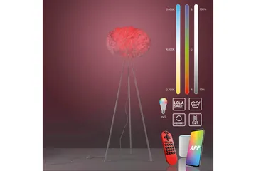 Gulvlampe Lolasmart Naomi - 47x140x47 cm - Belysning - Innendørsbelysning & Lamper - Gulvlampe