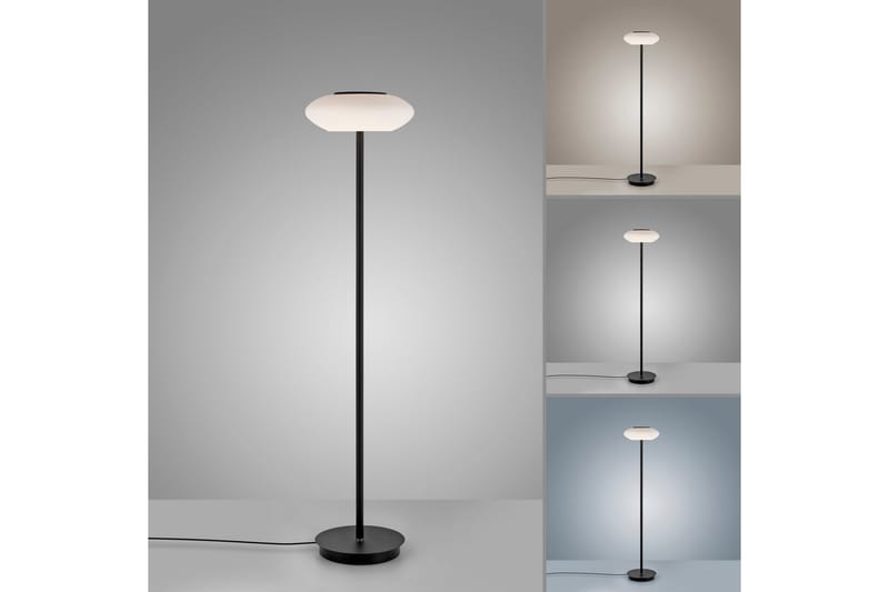 Gulvlampe Q-Etienne - 35x152x35 cm - Belysning - Innendørsbelysning & Lamper - Gulvlampe