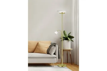 Gulvlampe TRIO Gerry Matt messing - Matt messing - Belysning - Innendørsbelysning & Lamper - Gulvlampe