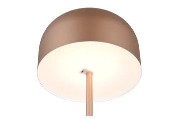 Gulvlampe TRIO Jeff Kaffebrun - Kaffebrun - Belysning - Innendørsbelysning & Lamper - Gulvlampe