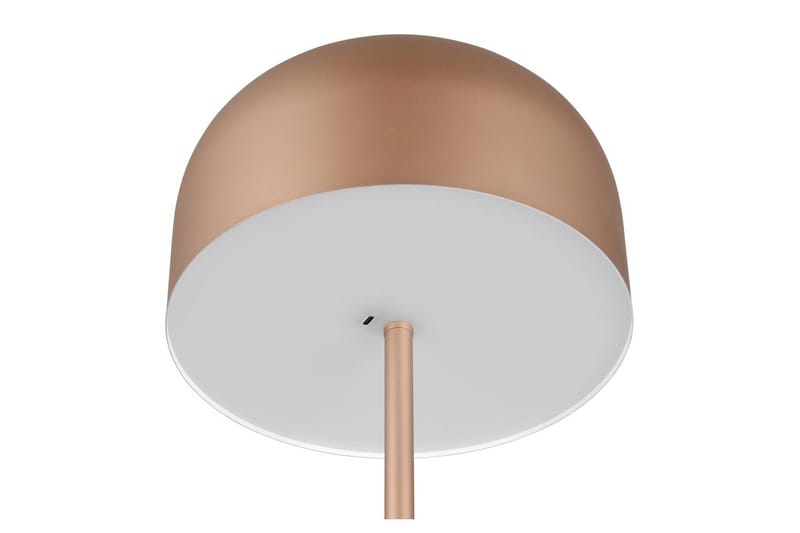 Gulvlampe TRIO Jeff Kaffebrun - Kaffebrun - Belysning - Innendørsbelysning & Lamper - Gulvlampe