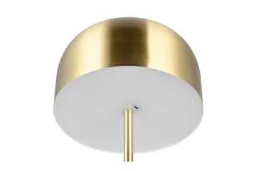 Gulvlampe TRIO Jeff Matt messing - Matt messing - Belysning - Innendørsbelysning & Lamper - Gulvlampe