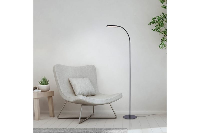 Kelly Just Light Gulvlampe - Belysning - Innendørsbelysning & Lamper - Gulvlampe