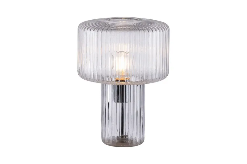 Bordlampe Fungus, Gjennomsiktig