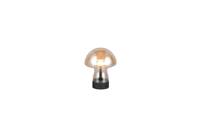 Bordlampe TRIO Dooley Rav, Rav
