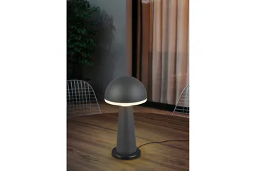 Bordlampe TRIO Fungo Antrasitt - Antrasitt - Belysning - Innendørsbelysning & Lamper - Soveromslampe - Sengelamper - Nattbordslampe stående