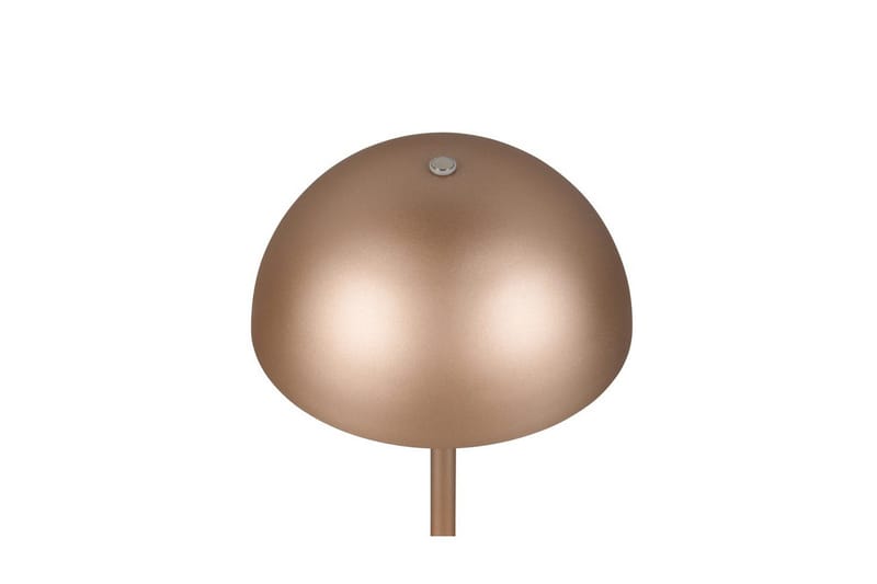 Bordlampe TRIO Munoz Kaffebrun - Kaffebrun - Belysning - Innendørsbelysning & Lamper - Soveromslampe - Sengelamper - Nattbordslampe stående