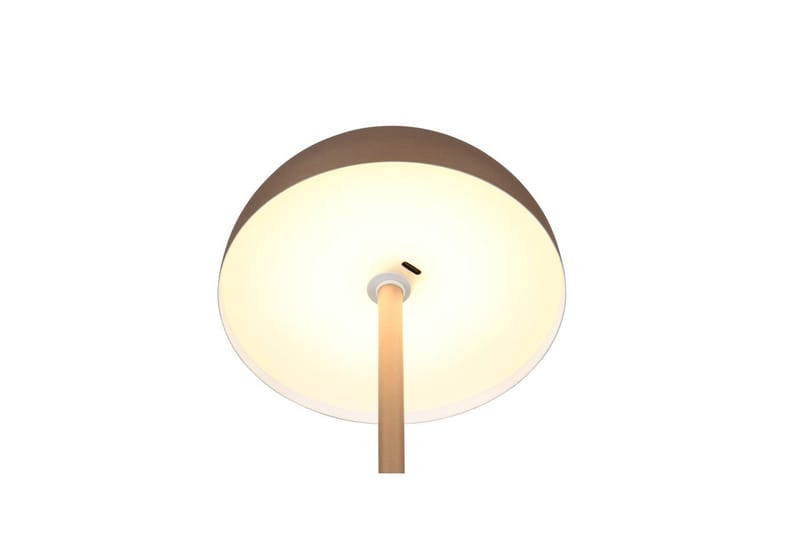 Bordlampe TRIO Munoz Kaffebrun - Kaffebrun - Belysning - Innendørsbelysning & Lamper - Soveromslampe - Sengelamper - Nattbordslampe stående