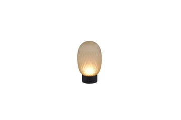 Oppladbar bordlampe TRIO Facette Matt svart/grønn