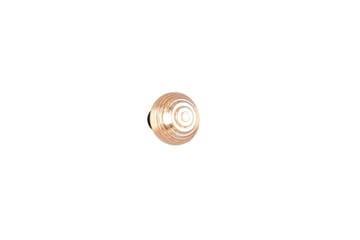 Vegglampe TRIO Earl Rav