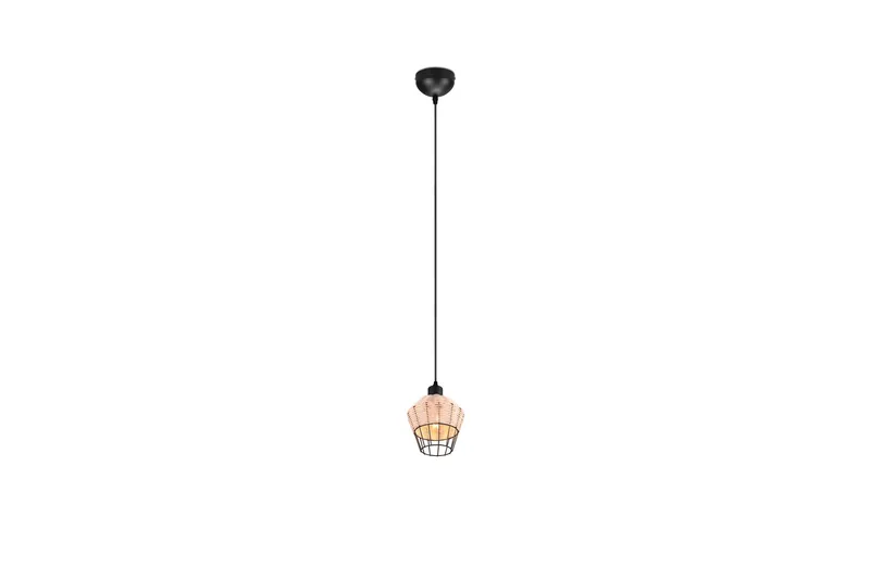 Borka Pendellampe 1 Lampe 17,5 cm E27 Rotting, Trio Lighting