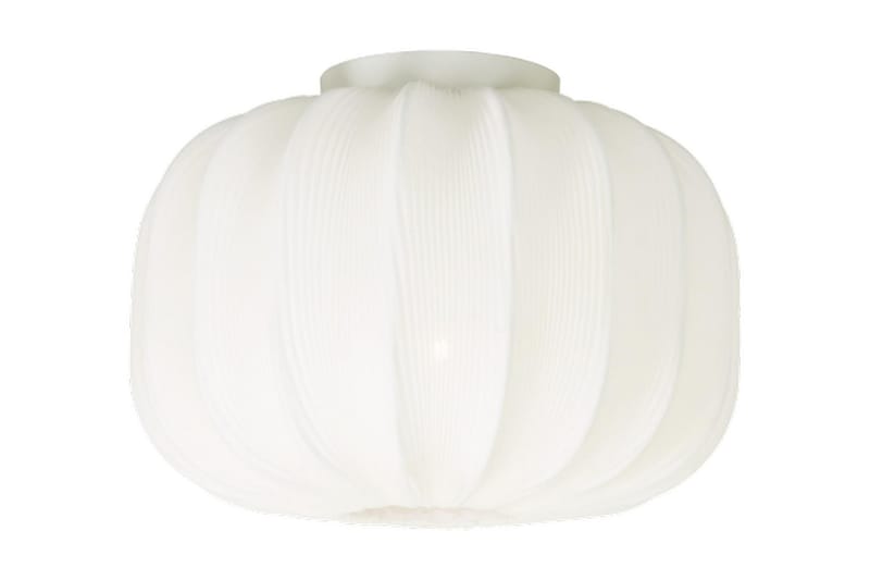 Aneta Madame Plafond 330 cm - Lamper gang - Taklampe - Takplafond - Plafond