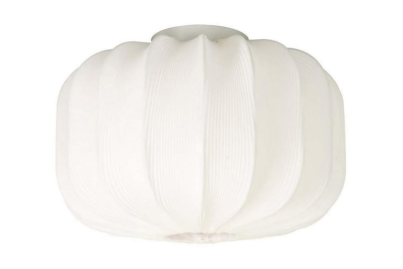 Aneta Madame Plafond 380 cm - Lamper gang - Taklampe - Takplafond - Plafond