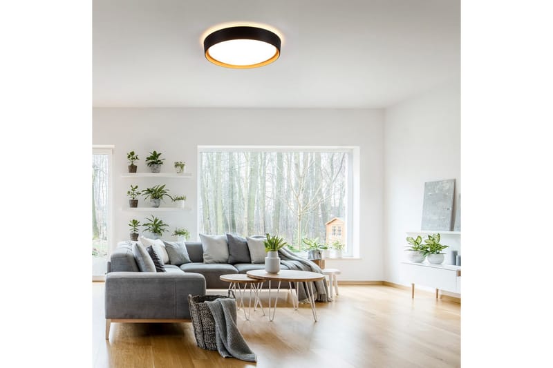 Emilia Just Light Taklampe - Belysning - Innendørsbelysning & Lamper - Taklampe - Takplafond