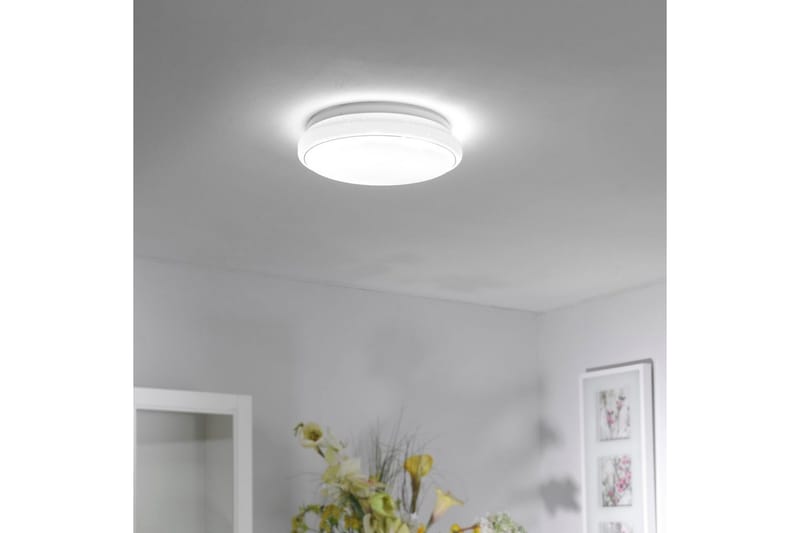 Lolasmart Jupi Just Light Taklampe - Belysning - Innendørsbelysning & Lamper - Taklampe - Takplafond