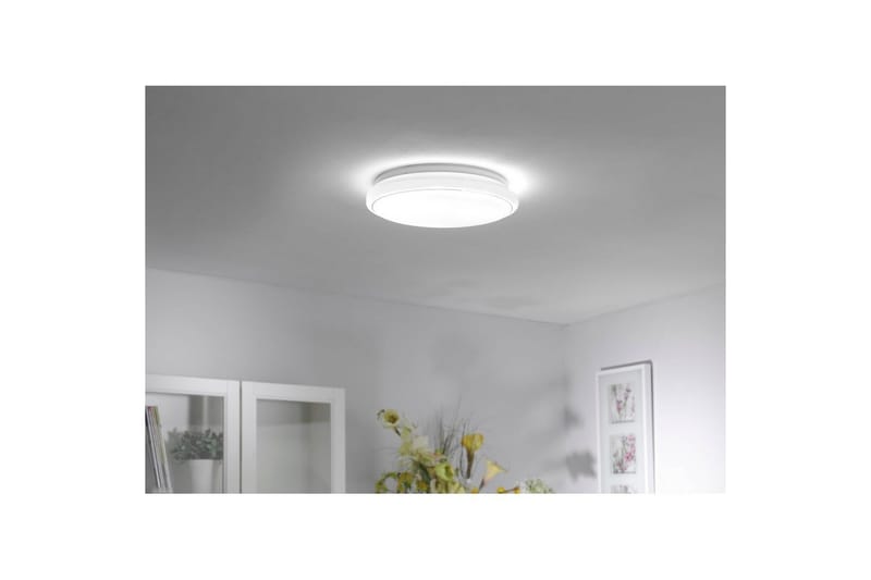 Lolasmart Jupi Just Light Taklampe - Belysning - Innendørsbelysning & Lamper - Taklampe - Takplafond