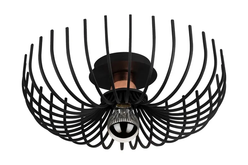 Noor Taklampe, Svart