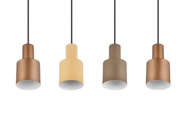 Trio Lighting Agudo Taklampe 4L E27 Flerfarget - Belysning - Innendørsbelysning & Lamper - Taklampe - Pendellamper & Hengelamper