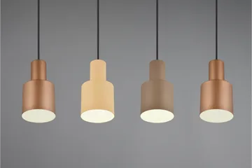 Trio Lighting Agudo Taklampe 4L E27 Flerfarget - Belysning - Innendørsbelysning & Lamper - Taklampe - Pendellamper & Hengelamper