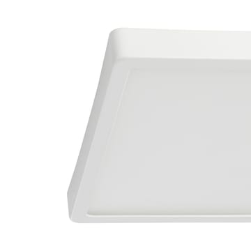 Plafond Argolis 285x285 mm - Hvit - Belysning - Innendørsbelysning & Lamper - Taklampe - Takplafond