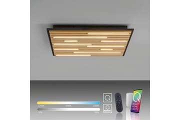 Q-Akustik Paul Neuhaus Vegg-/Taklampe - Belysning - Innendørsbelysning & Lamper - Taklampe - Takplafond