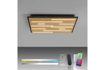 Q-Akustik Paul Neuhaus Vegg-/Taklampe - Belysning - Innendørsbelysning & Lamper - Taklampe - Takplafond