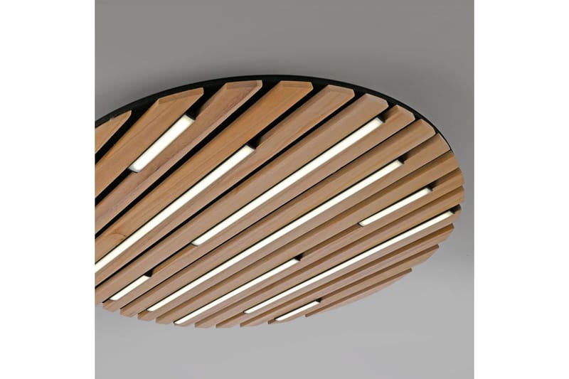 Q-Akustik Paul Neuhaus Vegg-/Taklampe - Belysning - Innendørsbelysning & Lamper - Taklampe - Takplafond