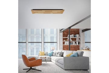 Q-Akustik Paul Neuhaus Vegg-/Taklampe - Belysning - Innendørsbelysning & Lamper - Taklampe - Takplafond