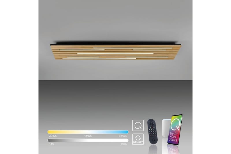 Q-Akustik Paul Neuhaus Vegg-/Taklampe - Belysning - Innendørsbelysning & Lamper - Taklampe - Takplafond