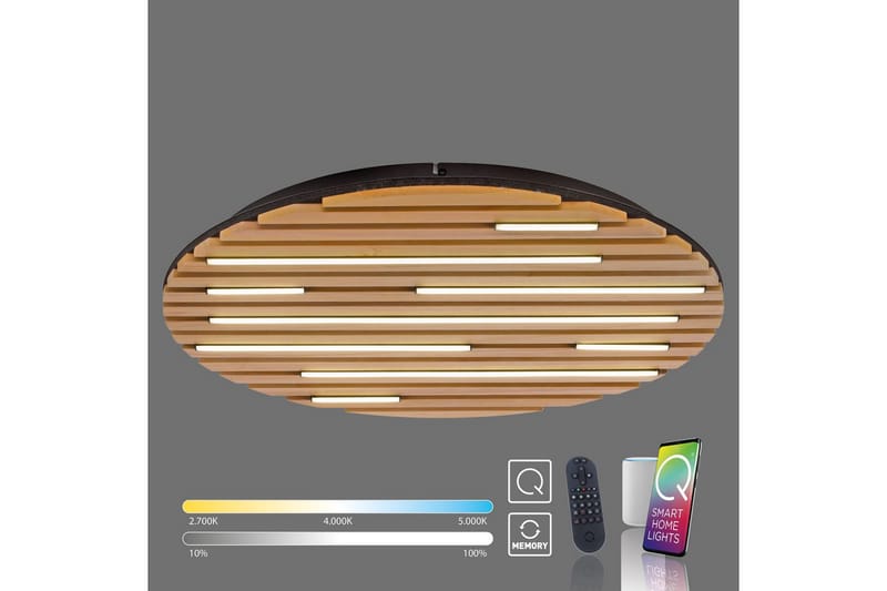 Q-Akustik Paul Neuhaus Vegg-/Taklampe - Belysning - Innendørsbelysning & Lamper - Taklampe - Takplafond