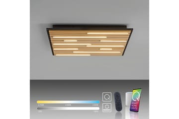 Q-Akustik Paul Neuhaus Vegg-/Taklampe - Belysning - Innendørsbelysning & Lamper - Taklampe - Takplafond