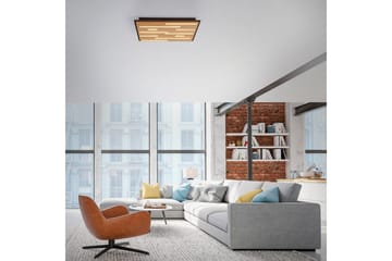 Q-Akustik Paul Neuhaus Vegg-/Taklampe - Belysning - Innendørsbelysning & Lamper - Taklampe - Takplafond