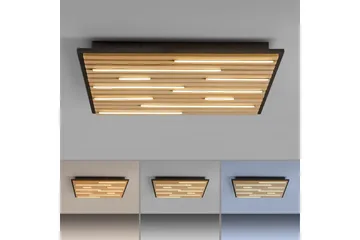 Q-Akustik Paul Neuhaus Vegg-/Taklampe - Belysning - Innendørsbelysning & Lamper - Taklampe - Takplafond