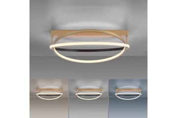 Q-Beluga Paul Neuhaus Taklampe - Belysning - Innendørsbelysning & Lamper - Taklampe - Takplafond