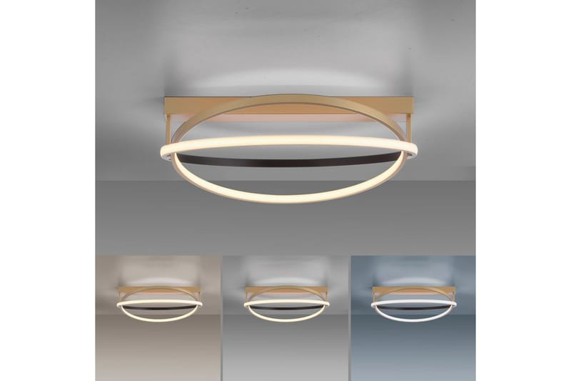 Q-Beluga Paul Neuhaus Taklampe - Belysning - Innendørsbelysning & Lamper - Taklampe - Takplafond